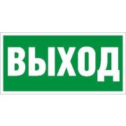 Пиктограмма «Выход» ПЭУ 010 130х260 СТ 2502000270